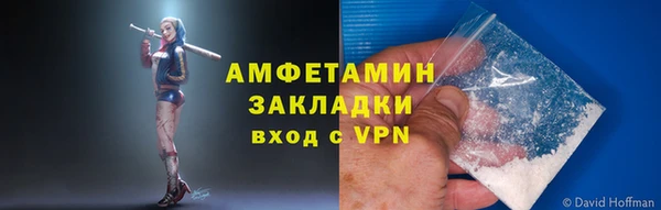 прущие грибы Зеленодольск