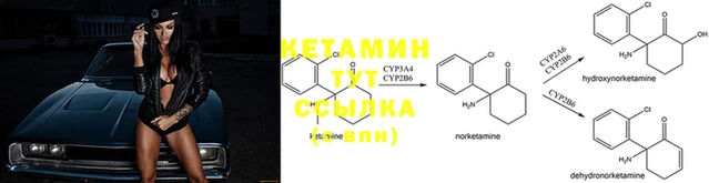 мяу мяу мука Зерноград