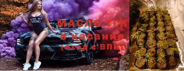 мдпв Инсар