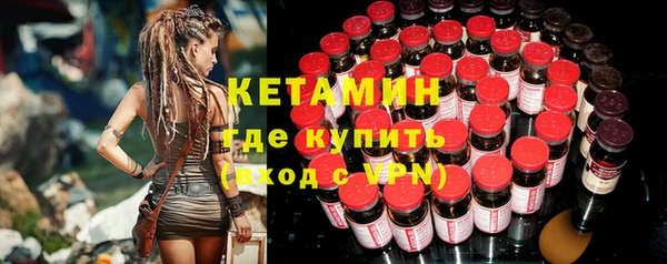 шишки Инта