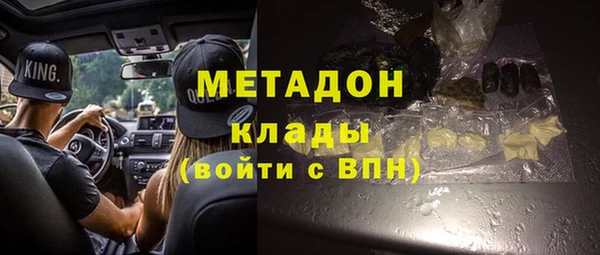 шишки Инта