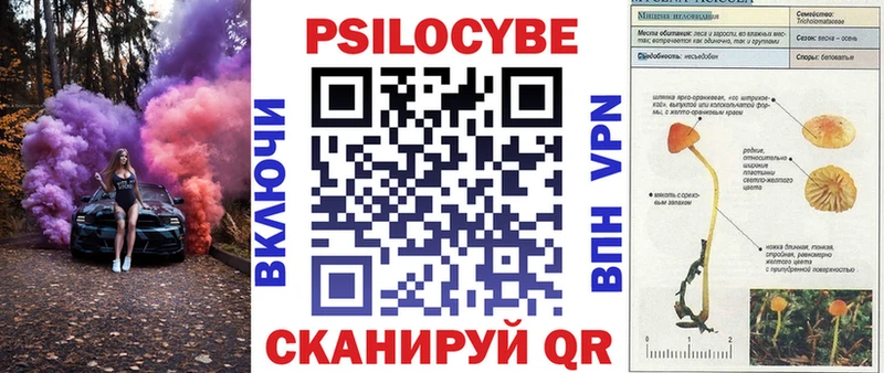 Псилоцибиновые грибы ЛСД Купить где Карабулак
